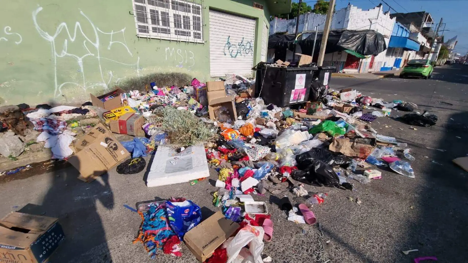 basura tirada